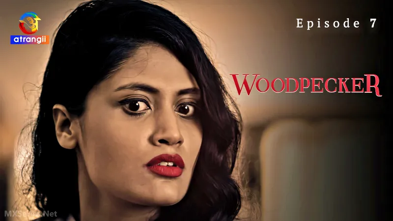 Woodpecker Episode 7